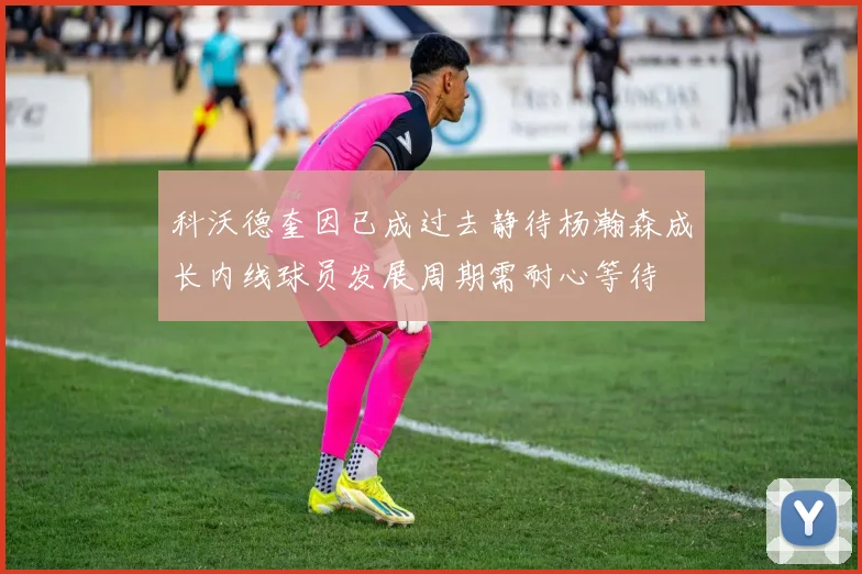科沃德奎因已成过去静待杨瀚森成长内线球员发展周期需耐心等待