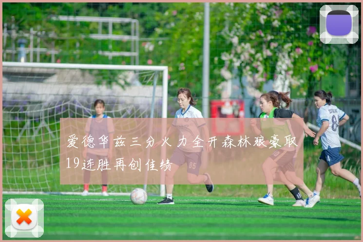 爱德华兹三分火力全开森林狼豪取19连胜再创佳绩