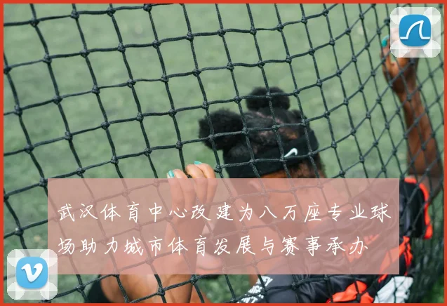 武汉体育中心改建为八万座专业球场助力城市体育发展与赛事承办