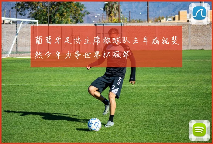 葡萄牙足协主席称球队去年成就斐然今年力争世界杯冠军