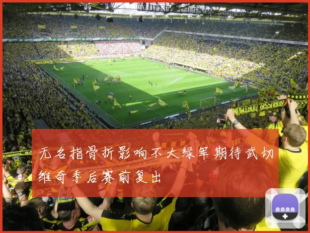 无名指骨折影响不大绿军期待武切维奇季后赛前复出