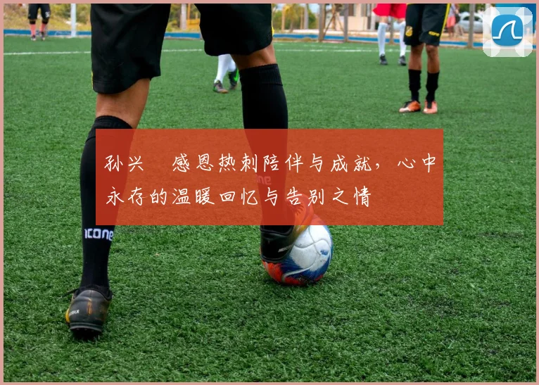 孙兴慜感恩热刺陪伴与成就，心中永存的温暖回忆与告别之情