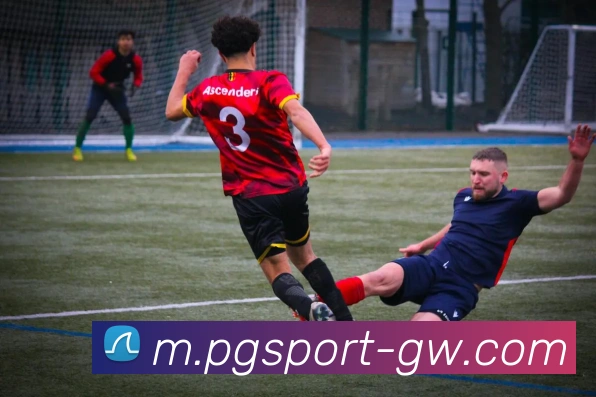 麻将胡了平台生态图